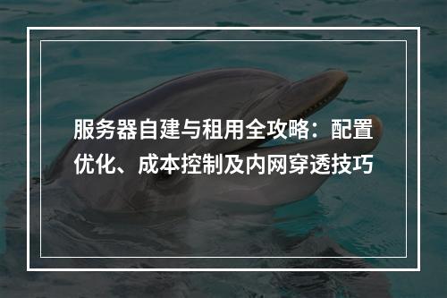 服务器自建与租用全攻略：配置优化、成本控制及内网穿透技巧