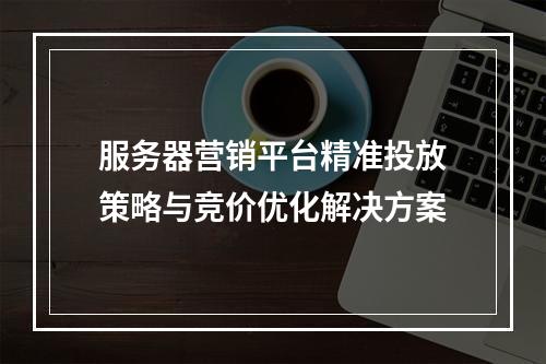 服务器营销平台精准投放策略与竞价优化解决方案
