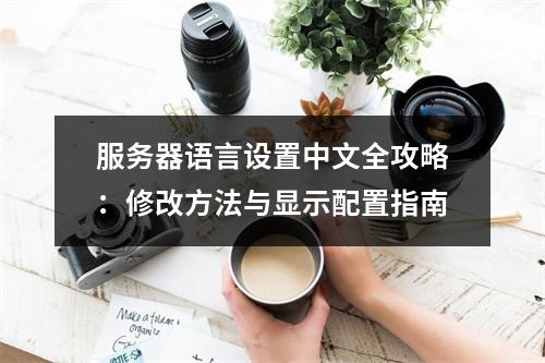 服务器语言设置中文全攻略：修改方法与显示配置指南