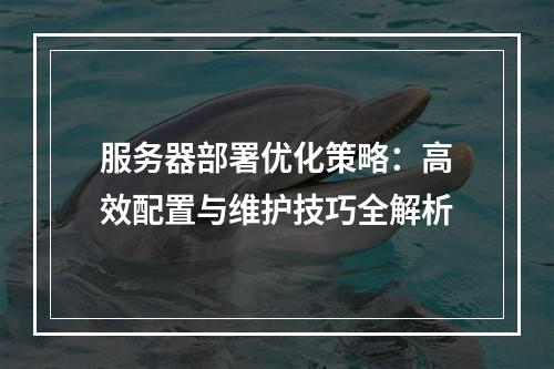 服务器部署优化策略：高效配置与维护技巧全解析