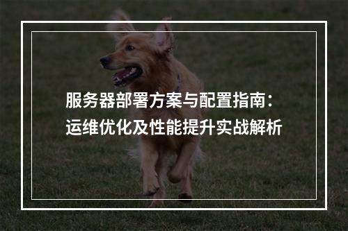 服务器部署方案与配置指南：运维优化及性能提升实战解析
