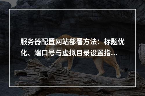 服务器配置网站部署方法：标题优化、端口号与虚拟目录设置指南