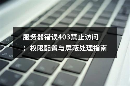 服务器错误403禁止访问：权限配置与屏蔽处理指南