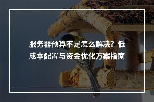 服务器预算不足怎么解决？低成本配置与资金优化方案指南