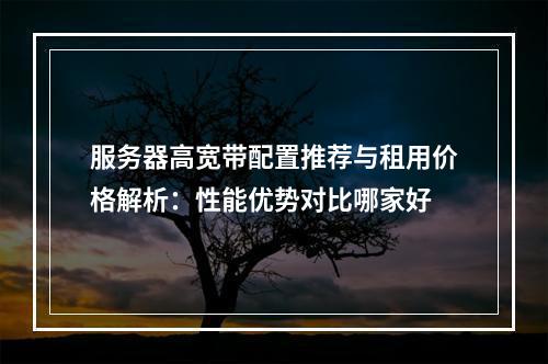 服务器高宽带配置推荐与租用价格解析：性能优势对比哪家好