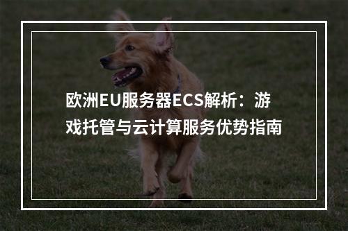欧洲EU服务器ECS解析：游戏托管与云计算服务优势指南