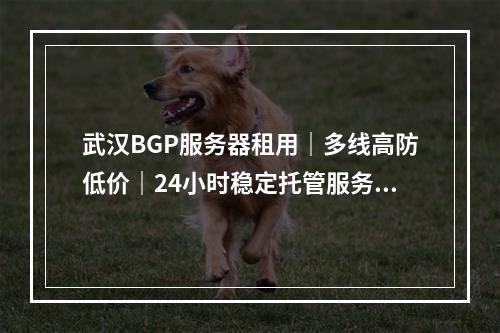 武汉BGP服务器租用｜多线高防低价｜24小时稳定托管服务推荐