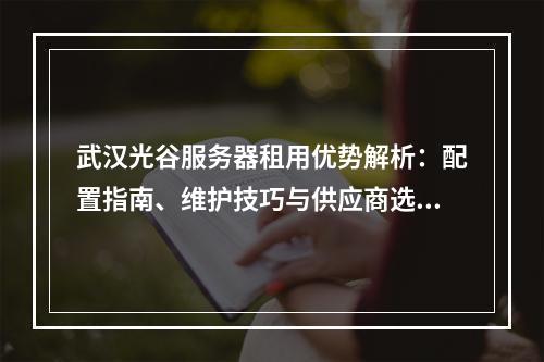 武汉光谷服务器租用优势解析：配置指南、维护技巧与供应商选择