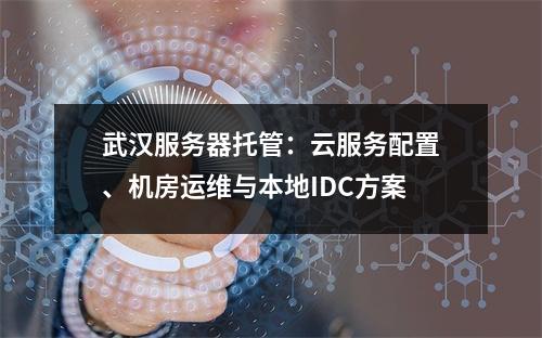 武汉服务器托管：云服务配置、机房运维与本地IDC方案