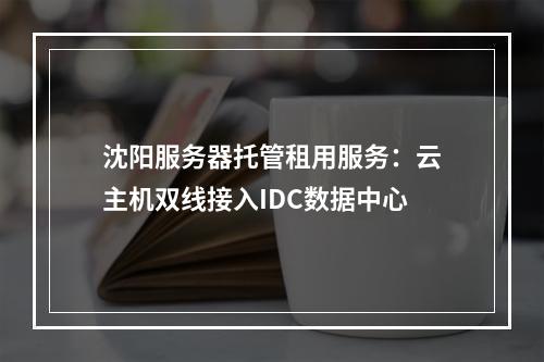 沈阳服务器托管租用服务：云主机双线接入IDC数据中心