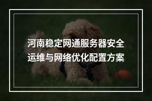 河南稳定网通服务器安全运维与网络优化配置方案