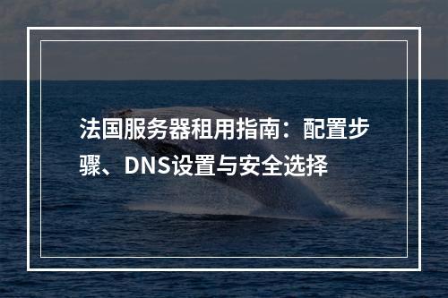 法国服务器租用指南：配置步骤、DNS设置与安全选择