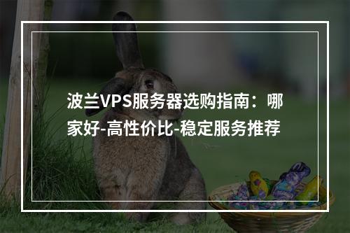 波兰VPS服务器选购指南：哪家好-高性价比-稳定服务推荐