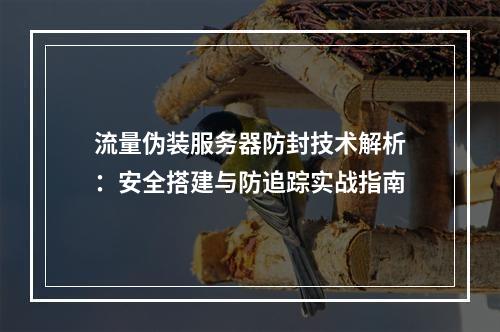 流量伪装服务器防封技术解析：安全搭建与防追踪实战指南