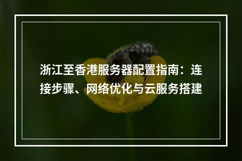 浙江至香港服务器配置指南：连接步骤、网络优化与云服务搭建