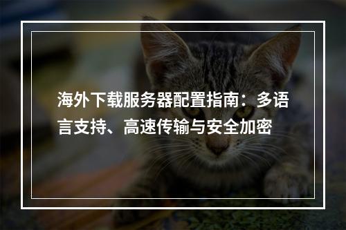 海外下载服务器配置指南：多语言支持、高速传输与安全加密