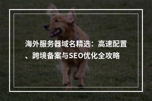海外服务器域名精选：高速配置、跨境备案与SEO优化全攻略