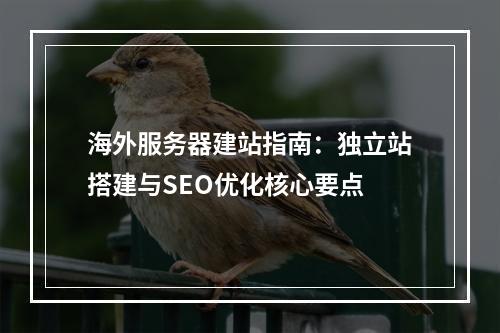 海外服务器建站指南：独立站搭建与SEO优化核心要点