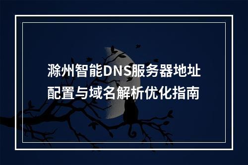 滁州智能DNS服务器地址配置与域名解析优化指南