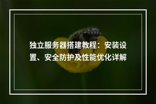 独立服务器搭建教程：安装设置、安全防护及性能优化详解
