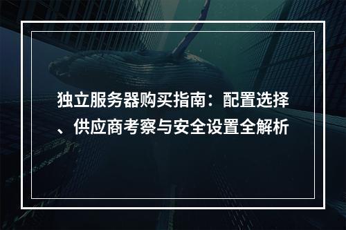 独立服务器购买指南：配置选择、供应商考察与安全设置全解析