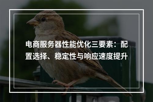 电商服务器性能优化三要素：配置选择、稳定性与响应速度提升