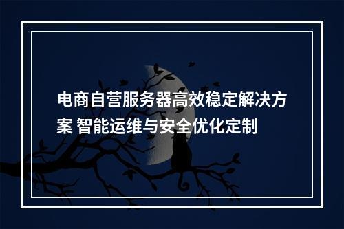 电商自营服务器高效稳定解决方案 智能运维与安全优化定制