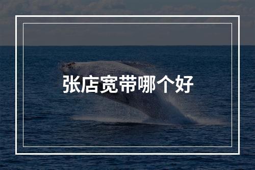 张店宽带哪个好