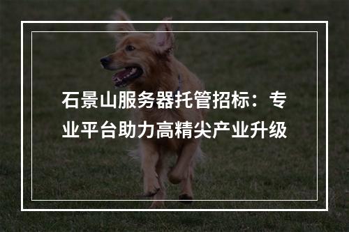 石景山服务器托管招标：专业平台助力高精尖产业升级