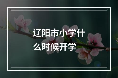 辽阳市小学什么时候开学