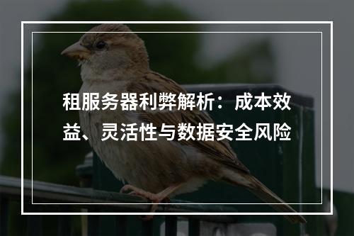 租服务器利弊解析：成本效益、灵活性与数据安全风险
