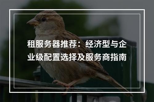 租服务器推荐：经济型与企业级配置选择及服务商指南