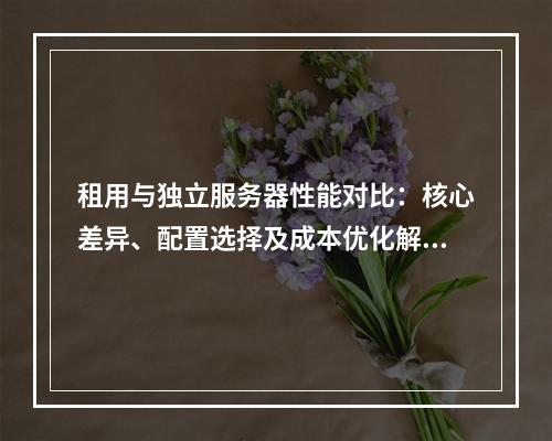租用与独立服务器性能对比：核心差异、配置选择及成本优化解析