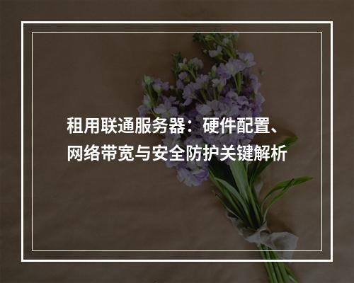 租用联通服务器：硬件配置、网络带宽与安全防护关键解析