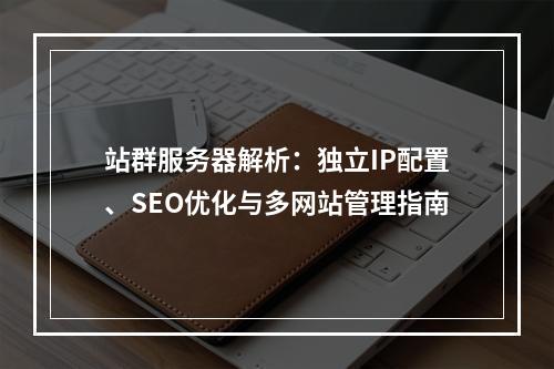 站群服务器解析：独立IP配置、SEO优化与多网站管理指南