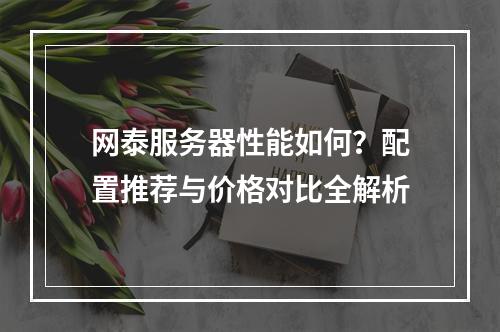 网泰服务器性能如何？配置推荐与价格对比全解析