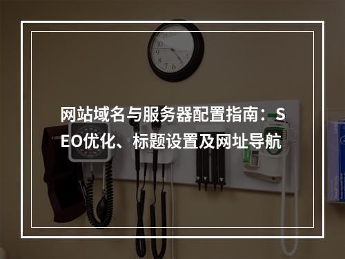 网站域名与服务器配置指南：SEO优化、标题设置及网址导航
