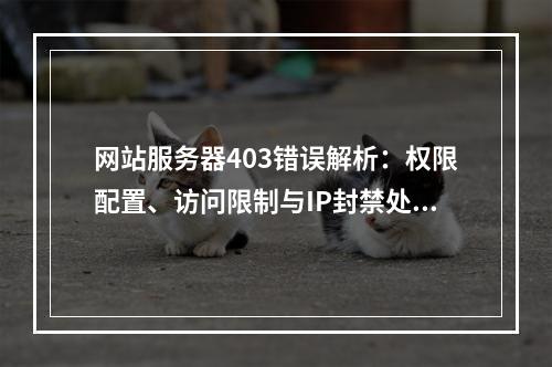 网站服务器403错误解析：权限配置、访问限制与IP封禁处理
