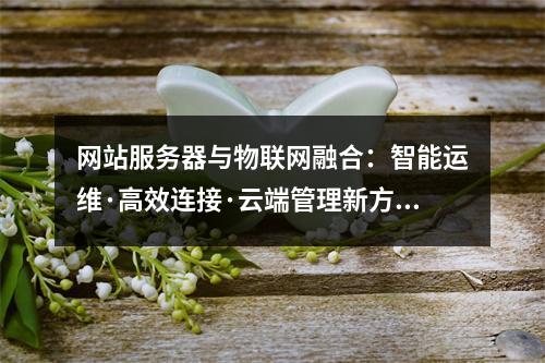 网站服务器与物联网融合：智能运维·高效连接·云端管理新方案