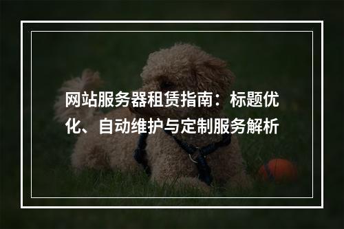 网站服务器租赁指南：标题优化、自动维护与定制服务解析