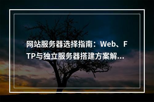 网站服务器选择指南：Web、FTP与独立服务器搭建方案解析