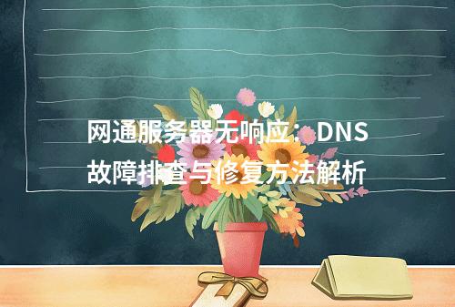 网通服务器无响应：DNS故障排查与修复方法解析