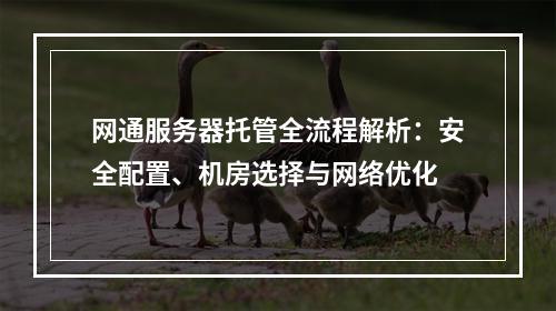 网通服务器托管全流程解析：安全配置、机房选择与网络优化