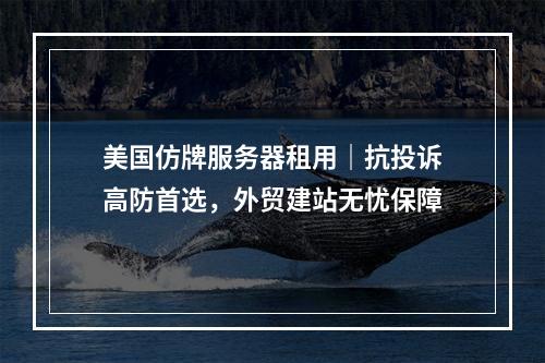 美国仿牌服务器租用｜抗投诉高防首选，外贸建站无忧保障