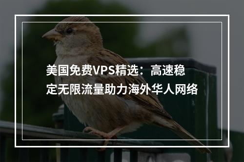 美国免费VPS精选：高速稳定无限流量助力海外华人网络