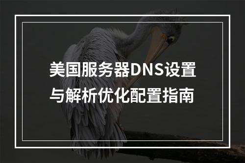 美国服务器DNS设置与解析优化配置指南