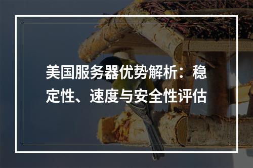 美国服务器优势解析：稳定性、速度与安全性评估