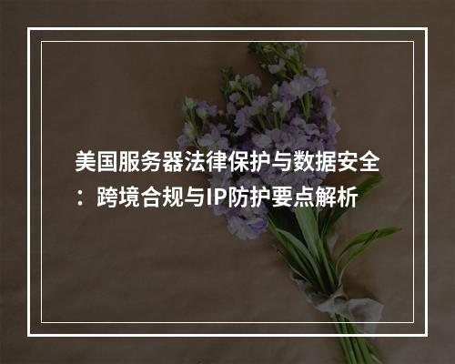 美国服务器法律保护与数据安全：跨境合规与IP防护要点解析
