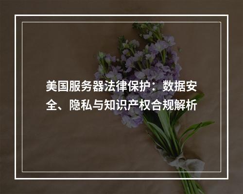 美国服务器法律保护：数据安全、隐私与知识产权合规解析