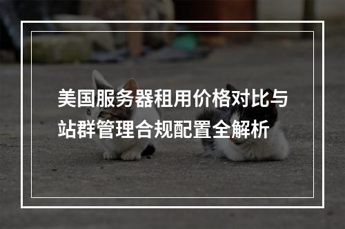 美国服务器租用价格对比与站群管理合规配置全解析